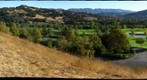 The Golf Course
