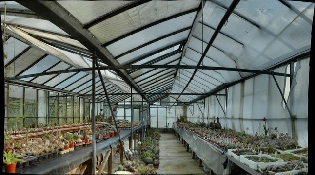 9659-646x360