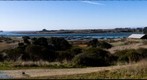 Elkhorn Slough, California