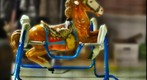 The Rocking Horse