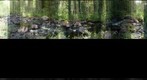 Siktraskbacken