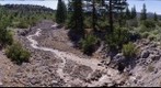 Whitney Creek at Highway 97, Shasta, California