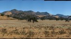 zaca
