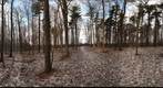 Dairy Bush Gigapan - 125 - January 18 2012