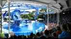 SeaWorld Orlando, Dolphin Show 1