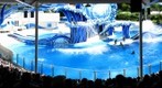 SeaWorld Orlando, Dolphin Show 2