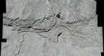 Genoa Fault Plane Closeup