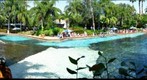 SeaWorld Orlando, Dolphin Interaction Area