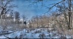 AFS Wetland January 2012