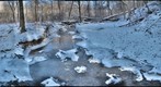 Abes Creek Upstream January 2012