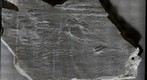 Flute Casts in Brallier Formation Shale