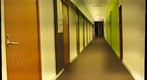 The green hallway