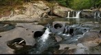 Tellico River