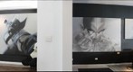 Estudio Marcelo Paciornik 2