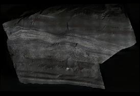 97845-274x189