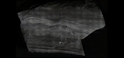 97845-400x189