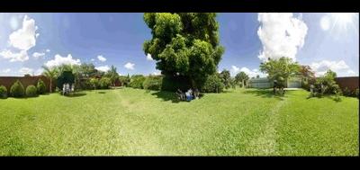 97970-400x189