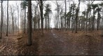 Dairy Bush Gigapan - 127 - February 01 2012