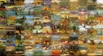 Compilate Vincent van Gogh