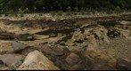 Ocoee River