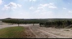 Bodega Irius