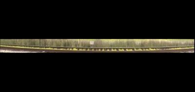 98158-400x189