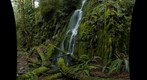Goldstream Waterfalls