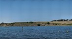 Oyster Farm, Tomales Bay, CA