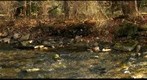Little Sewickley Creek, Devonian/Cenozoic Anomaly  ;^)