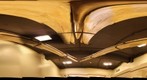 Fin Whale Skull 360