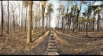 Dairy Bush GigaPan - 128 - February 08 2012