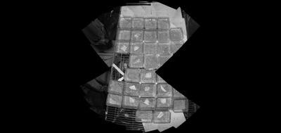 98475-400x189