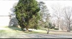 Tyler Arboretum - Location 09, February 2012