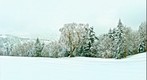 Ski resort Terakoya Shigakogen