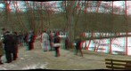 holiday on ice (Feb-2012) 3D
