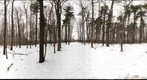 Dairy Bush GigaPan - 129 - February 15 2012