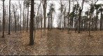 Dairy Bush GigaPan - 128a - February 10 2012