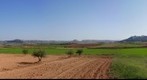 Camino Pera. La Guardia (Toledo)