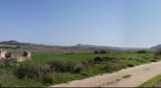 Molino de Pera. La Guardia (Toledo)