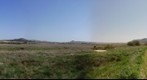 La pradera de Pera. La Guardia (Toledo)