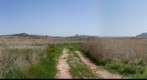 La pradera de Pera. La Guardia (Toledo)