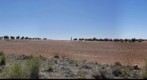 Detrás de los cerros del Santo Niño. La Guardia (Toledo)