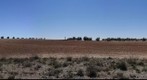 Detrás de los cerros del Santo Niño. La Guardia (Toledo)