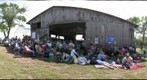 Prairie Festival XXX ~ The Land Institute ~ 2008 