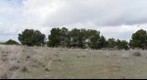 Panoramica de 360 desde detrás de los cerros de Perejon. La Guardia (Toledo)