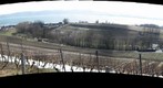 vignoble de Concise
