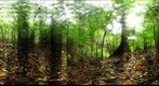 120207 - Costa Rica, Area de Conservacion (ACG), Volcan Cacao, 1,300m