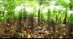 120208 - Costa Rica, Area de Conservacion (ACG), Volcan Cacao, Cima del Volcan, 1200m