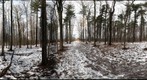 Dairy Bush GigaPan - 130 - February 22 2012