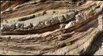 fold structure in Big Bend National Park (Texas)